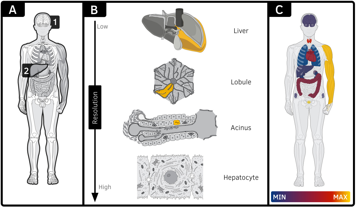 Fig. 1: Overview